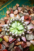 12mm Saucer Beaded Stretch Bracelet - Deadwood South Boutique & Company LLC
