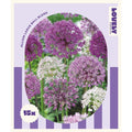 Allium Mix Bulbs