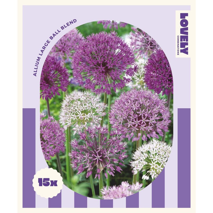 Allium Mix Bulbs