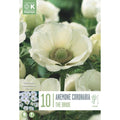 Anemone Coronaria The Bride