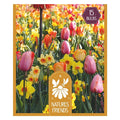 Blooms Bees & Butterflies Pastel Shades