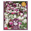 Blooms Bees & Butterflies Pink Shades Bulbs