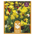 Blooms Bees & Butterflies Yellow and Maroon