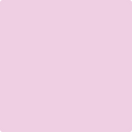 Shop the paint color 2074-60 Bunny Nose Pink by Benjamin Moore at Anderson Paint Company in Ann Arbor, Michigan.