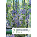 Cammasia Leichtlinii Caerulea Bulbs