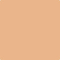 Shop the paint color 109 Canyon Lands by Benjamin Moore at Anderson Paint Company in Ann Arbor, Michigan.