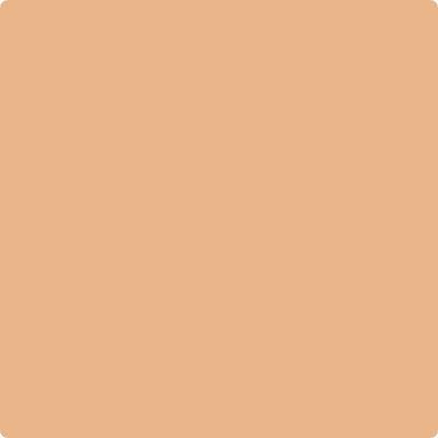 Shop the paint color 109 Canyon Lands by Benjamin Moore at Anderson Paint Company in Ann Arbor, Michigan.