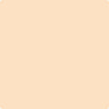 Shop the paint color 120 Delicate Peach by Benjamin Moore at Anderson Paint Company in Ann Arbor, Michigan.