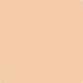 Shop the paint color 108 Desert View by Benjamin Moore at Anderson Paint Company in Ann Arbor, Michigan.