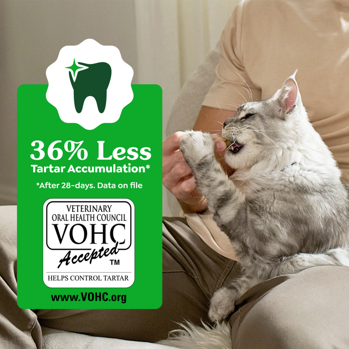 Greenies Feline Dental Tempting Tuna Flavor Cat Treats