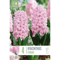 Hyacinth Fondant Bulbs