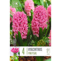 Hyacinth Pink Pearl Bulbs