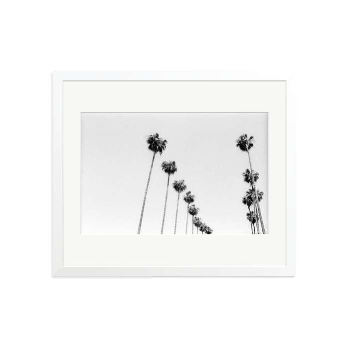 LA Palms Framed Print White Large