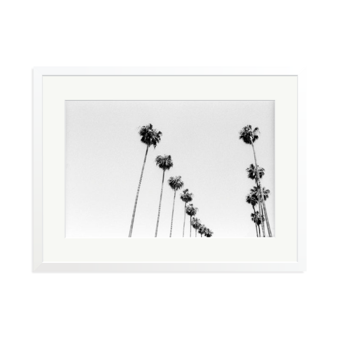 LA Palms Framed Print White XL