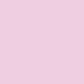 Shop the paint color 2075-60 Passion Pink by Benjamin Moore at Anderson Paint Company in Ann Arbor, Michigan.