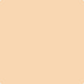 Shop the paint color 115 Peach Complexion by Benjamin Moore at Anderson Paint Company in Ann Arbor, Michigan.