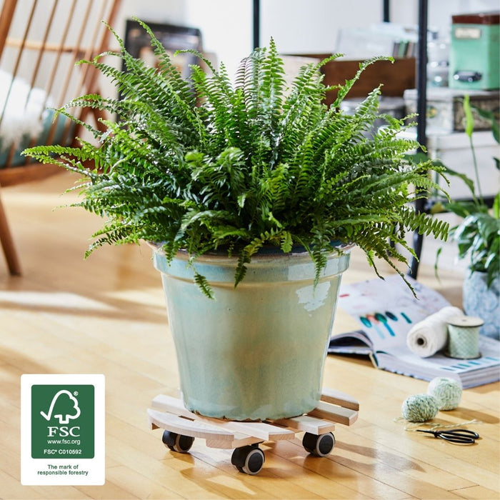 Plant Trolley Indoor Round - Beech Wood