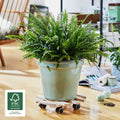 Plant Trolley Indoor Round - Beech Wood