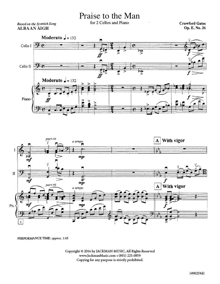 Praise to the Man - 2 Cellos