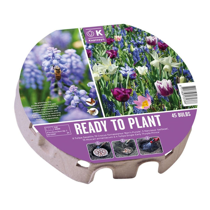 Ready To Plant Tray Biodiversity Bulbs