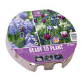 Ready To Plant Tray Biodiversity Bulbs