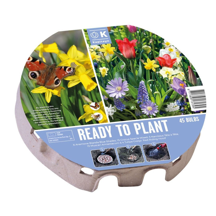 Ready To Plant Tray Wild Blooms Bulbs