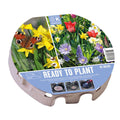 Ready To Plant Tray Wild Blooms Bulbs