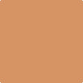 Shop the paint color 111 Rio Rancho Clay by Benjamin Moore at Anderson Paint Company in Ann Arbor, Michigan.