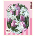 Spring Mix Pink Tulip & Narcissus Bulbs