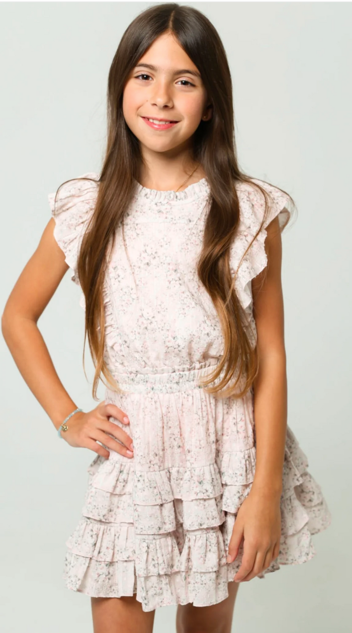 Summer Loving-Gustavia Dress Pink Mini Roses