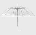 Transparent Umbrella