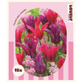 Tulip Doll Blend Bulbs