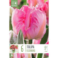 Tulip Elsenburg Bulbs