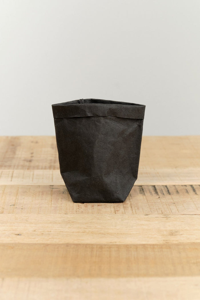 Uashmama Home Bath Organization XSmall Paper Bag Black / 3" L X 3" W X 6" H