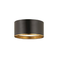 Z-Lite Arlo Matte Black Rubbed Brass 2 Light Flushmount 2303F2-MB-RB
